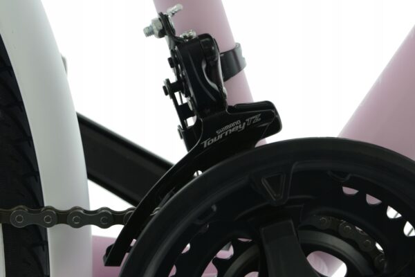 Nærbillede af cykelkæde og hjul