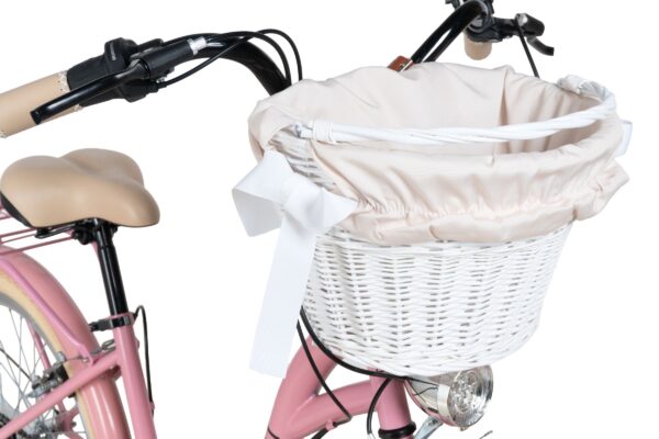 pigecykel davi amelia 24