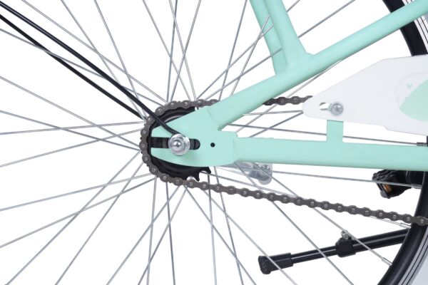 pigecykel davi molli, 24