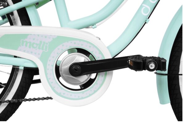 pigecykel davi molli, 24