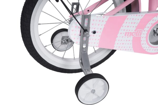 pigecykel davi molli, 16