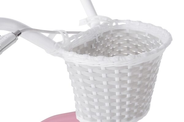 pigecykel davi molli, 20