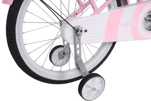 pigecykel davi molli, 20