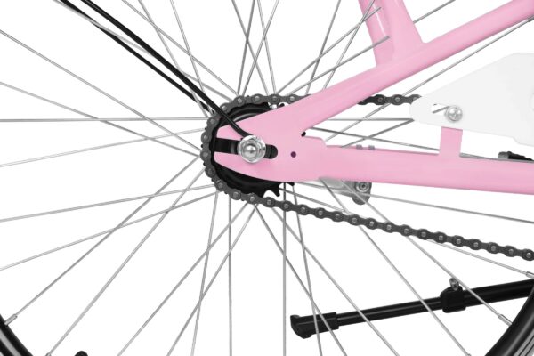 pigecykel davi molli, 24