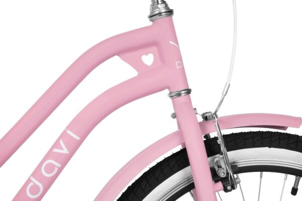 pigecykel davi molli, 24