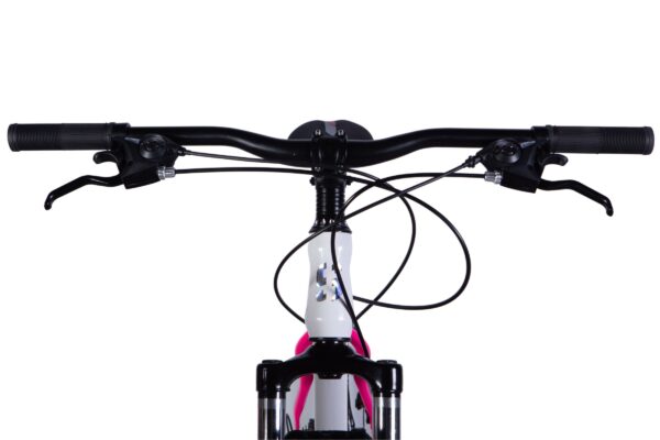 mountainbike mars 29