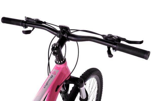 mountainbike davi bonita 27,5