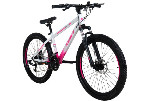 bicicleta mtb davi bonita 26