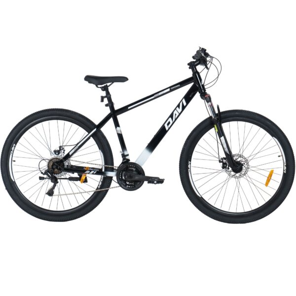 mountainbike davi terrano 29
