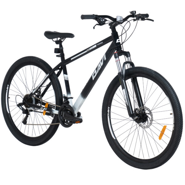 mountainbike davi terrano 29